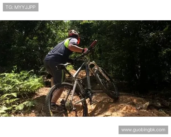 武汉极限运动队的成长之路与挑战探索全景报道